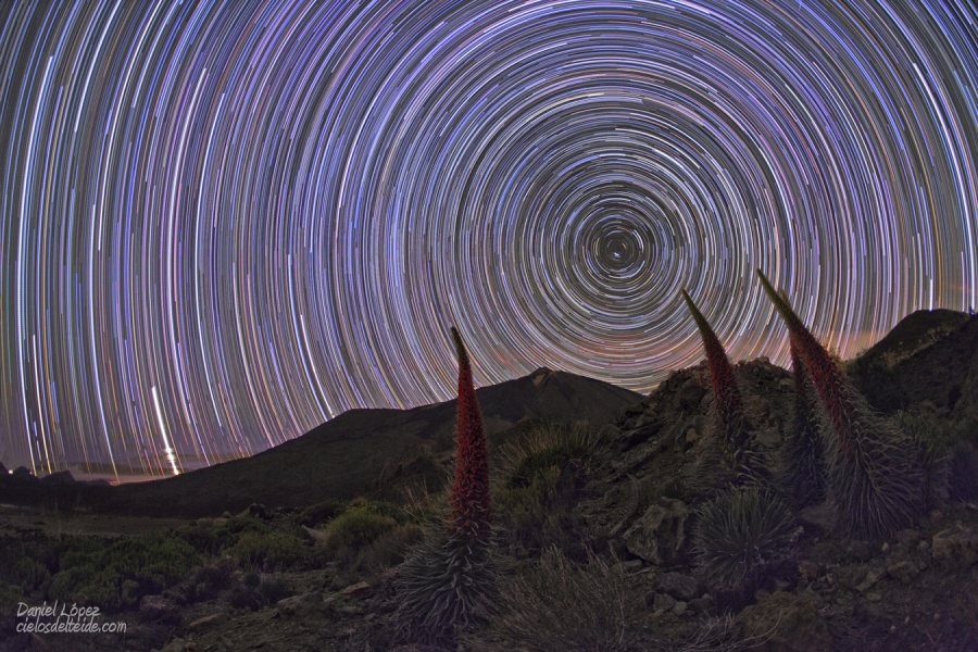 Hinter einer Berglandschaft mit Natternköpfen breitet sich ein sternklarer Himmel aus mit konzentrischen Kreisen, die Strichspuren von Sternen.