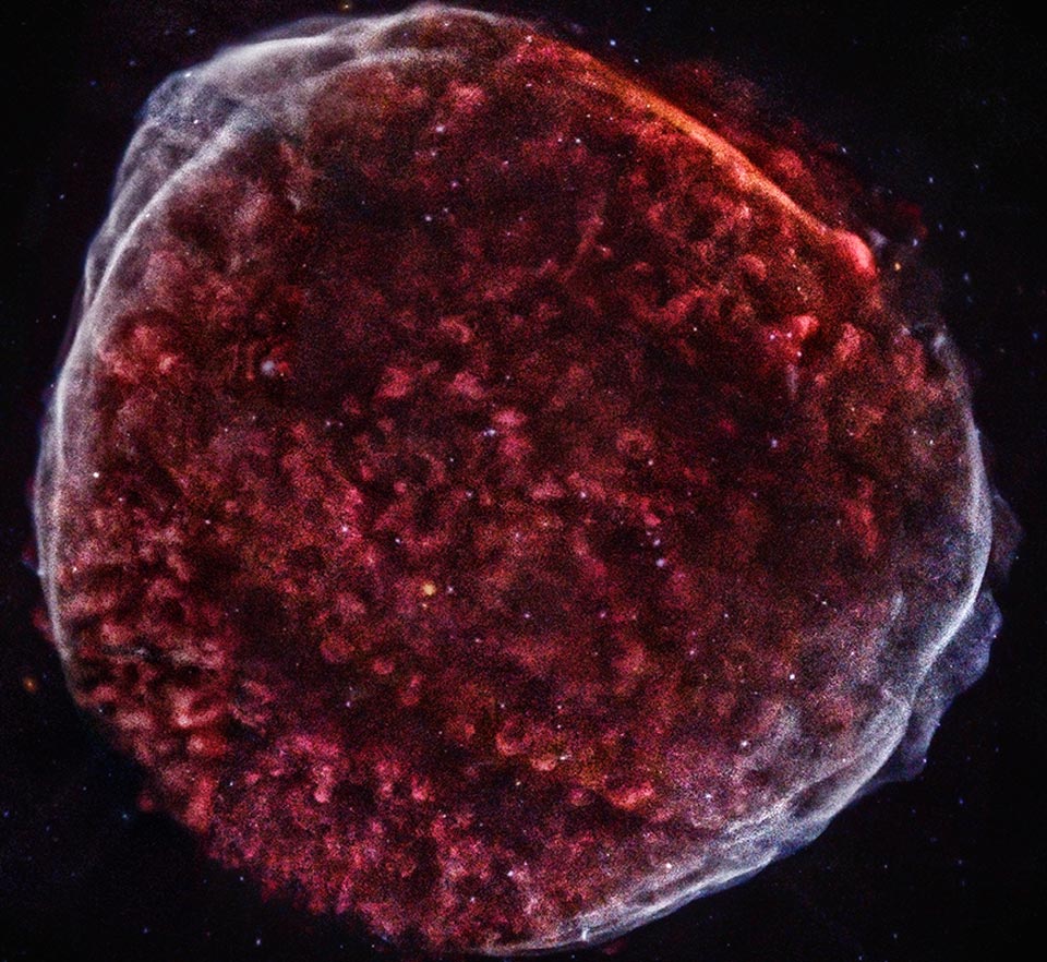 Bildfüllend ist ein rotes, rundes Objekt dargestellt. Es erinnert an eine Quaste aus Wolle und ist am Rand von einer schimmernden Oberfläche überzogen.