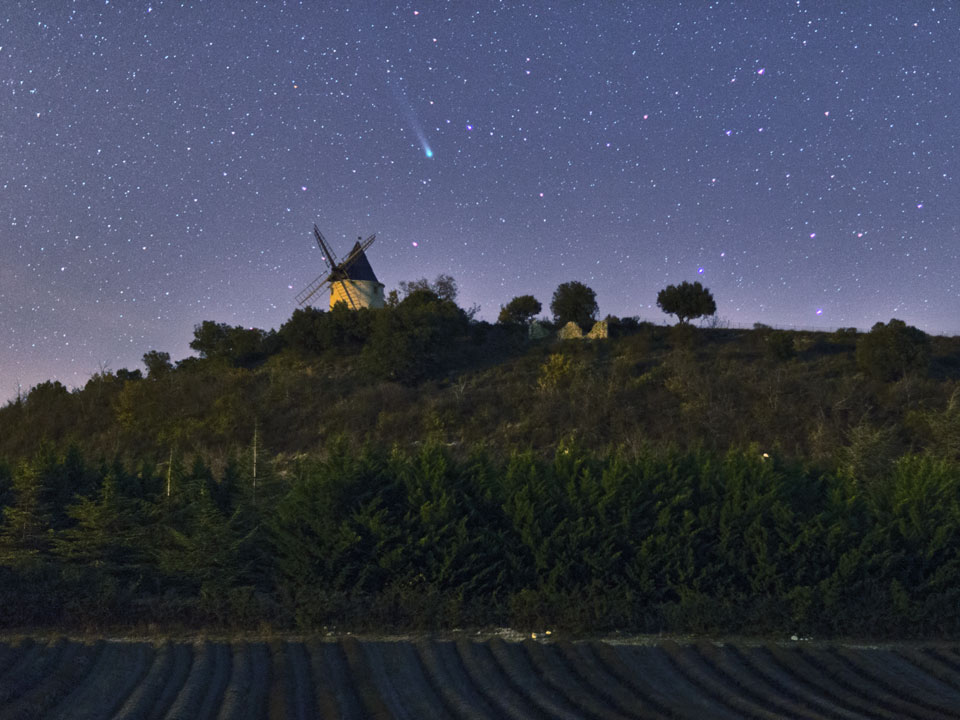 Über einer Windmühle in Südfrankreich reckt der Komet Lovejoy seinen Schweif in den sternklaren Himmel. Vorne breitet sich ein Lavendelfeld aus.