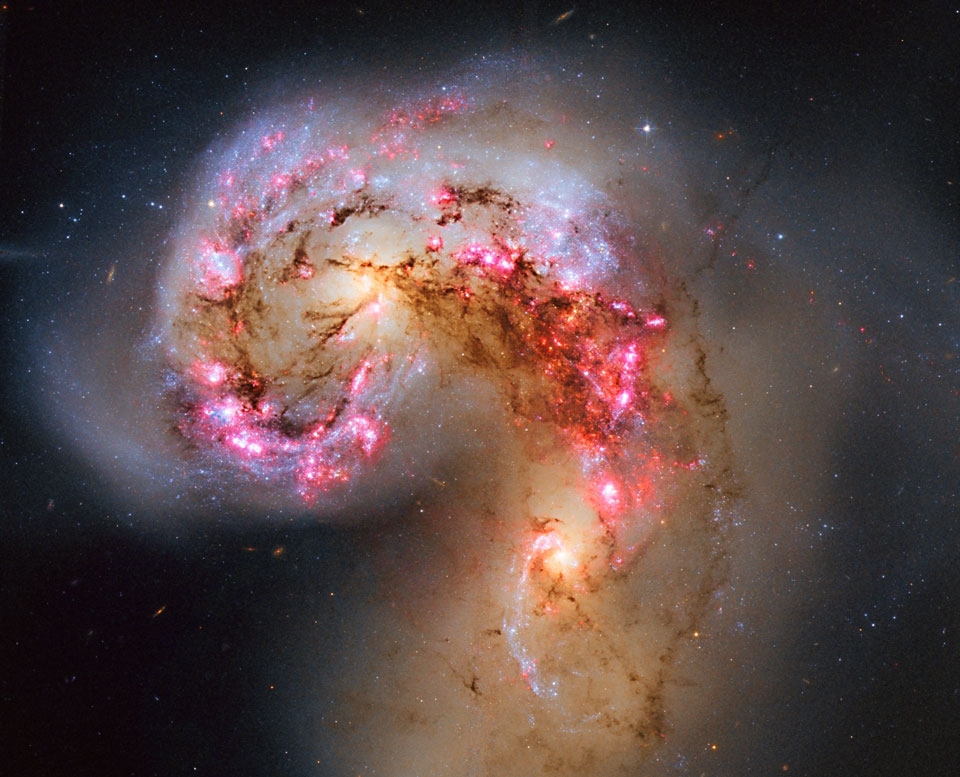 Wie ein Tentakel windet sich eine Galaxie von unten ins Bild, sie ist voller rötlicher Sternbildungsgebiete, Staubwolken und blauer Sternhaufen.