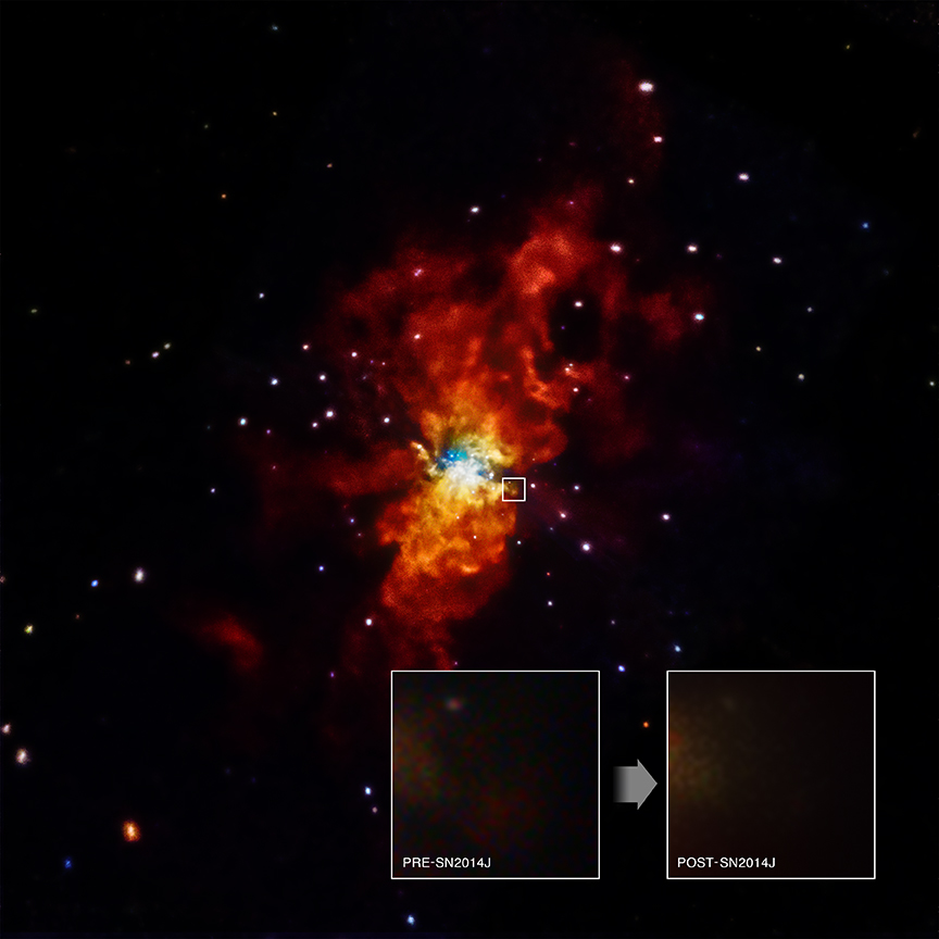 Mitten im Bild leuchtet ein Nebel, er ist im Zentrum sehr hell und wird nach außen hin rötlich. Rechts neben der Mitte markiert ein weißer Kasten die Position der Supernova SN 2014J. Die Aufnahmen in Röntgenlicht vor und nach der Explosion sind in zwei Einschüben unten gezeigt.
