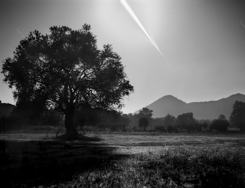 Am Himmel ragt von oben eine Lichtspur ins Bild, die nach unten hin immer schmäler wird. Es ist der Mond, der in den Erdschatten tritt. Vorne steht links ein Baum auf einer Wiese, hinten ragen bewaldete Hügel auf.
