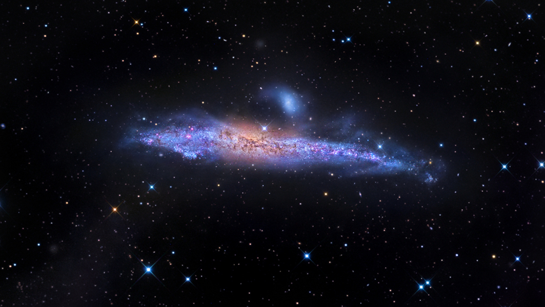 Mitten im Bild ist eine leicht gekrümmte Galaxie mit vielen blauen Sternbildungsgebieten, die an einen Wal erinnert. Oben ist eine kleine Begleitgalaxie. Um die Galaxie verlaufen zarte Sternströme.