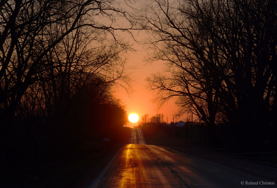 Eine Straße führt direkt zur Sonne, die gerade im Abendrot untergeht. Links und rechts ist die Straße von den Silhouetten blattloser Bäume gesäumt.