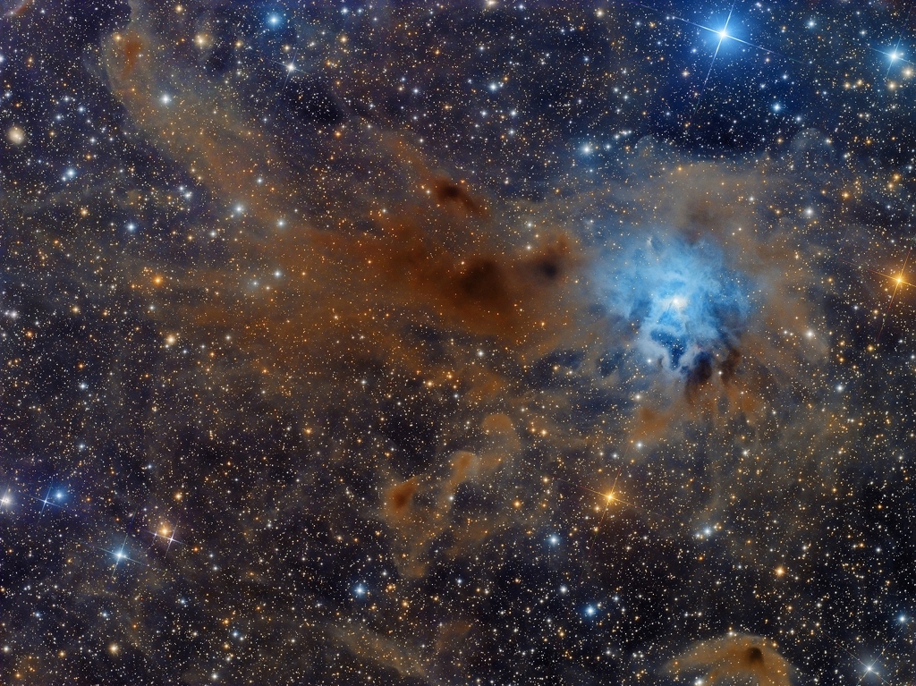 Vor einem dichten Sternenfeld schweben braune Staubwolken. Rechts leuchtet ein blauer Nebel um einen hellen Stern, es ist der Irisnebel NGC 7023 im Sternbild Kepheus.
