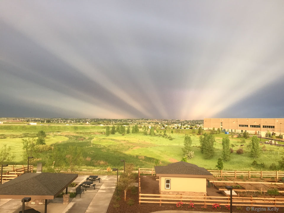 Hinter Westminster, einer Stadt im US-Bundesstaat Colorado, laufen Strahlenbüschel unter dem Horizont zusammen. Es sind Gegendämmerungsstrahlen.