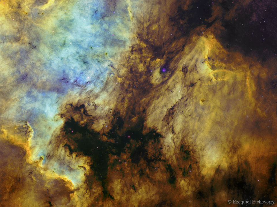 Links leuchtet ein Emissionsnebel, dessen Form an den Kontinent Nordamerika erinnert. Rechts daneben ist eine Wolke, die aussieht wie ein Pelikan. Beide Nebel sind von dunklen Staubwolken umgeben. Sie liegen im Sternbild Schwan.