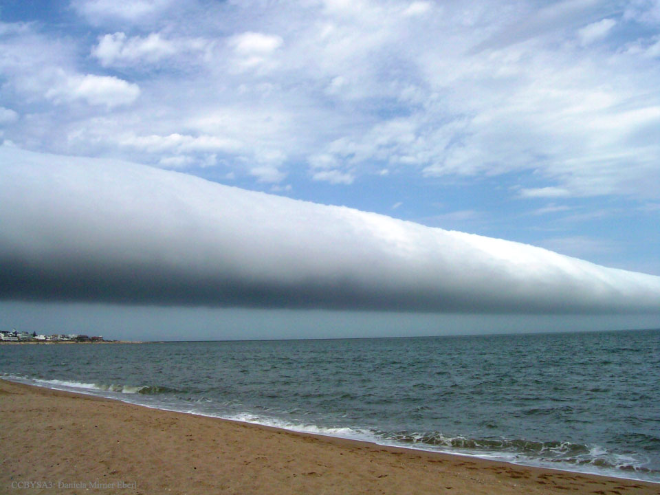 Über einem Meer reicht eine riesige Wolkenwalze bis zum Horizont.