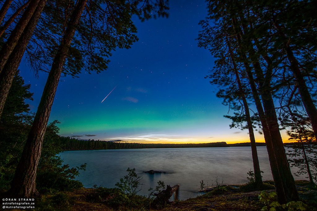 Die Szene ist links und rechts von Kiefern gesäumt. Um eine Bucht verlaufen Wälder, darüber leuchtet ein grünes Polarlicht am dunklen blauen Himmel. Über dem gelben Horizont schimmern leuchtende Nachtwolken. Links blitzt ein Meteor.