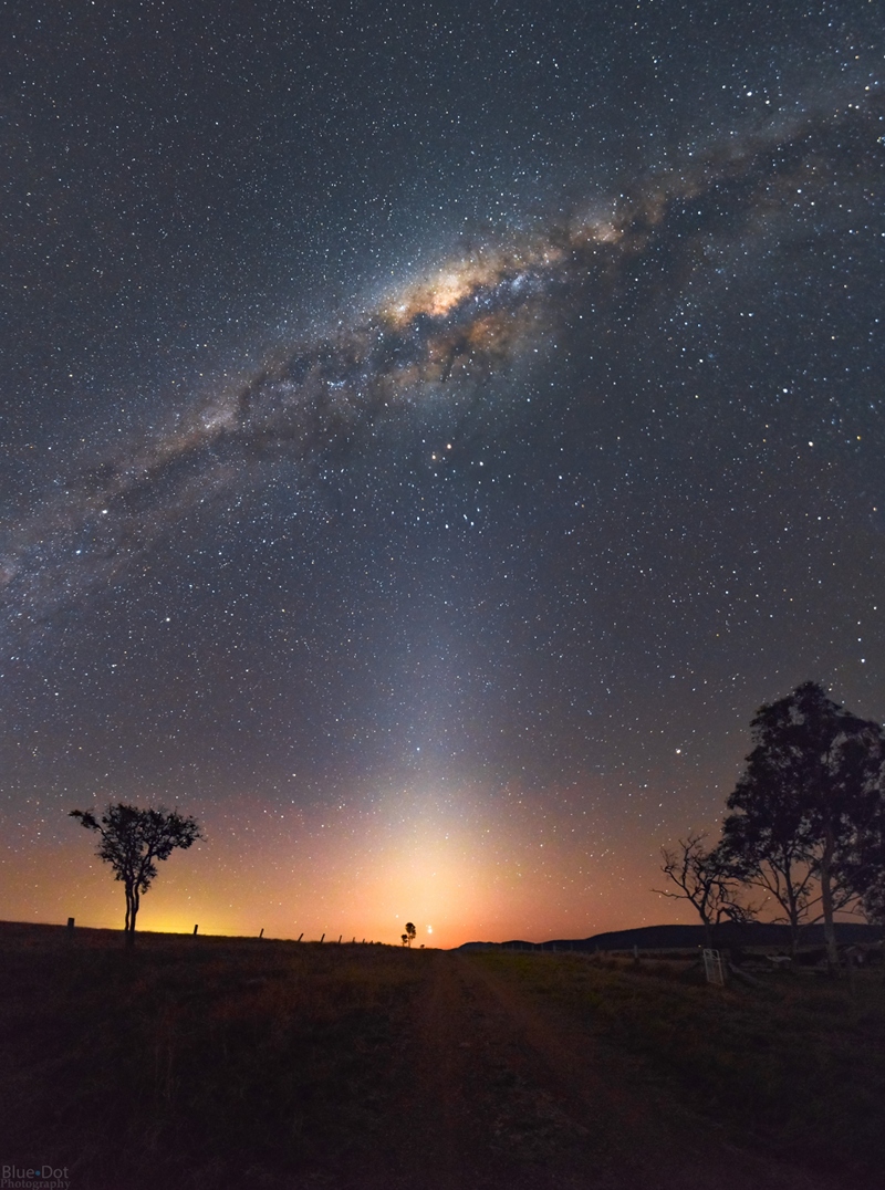 Eine Straße führt zum Horizont. Darüber leuchten drei helle Planeten im Abendrot. Links und rechts sind dunkle Silhouetten von Bäumen. Steil steigt Zodiakallicht zum Himmel auf, oben zieht schräg über den dunklen Nachthimmel.
