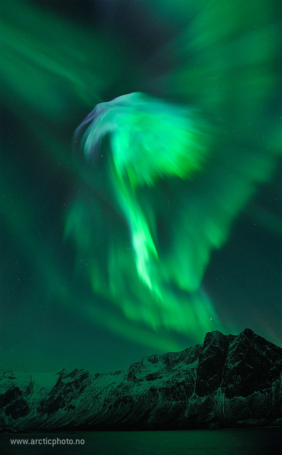 Über einem norwegischen Fjord schimmert ein prachtvolles grünes Polarlicht, das an einen Adler erinnert.