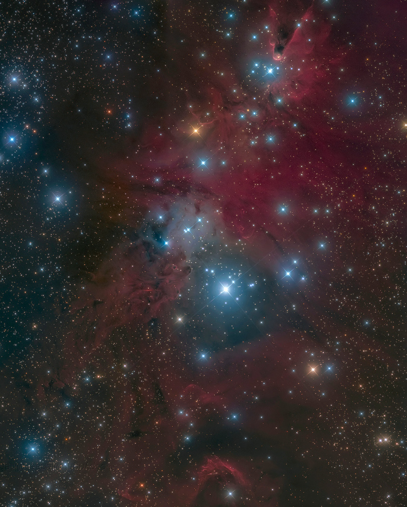Die Landschaft im Sternbild Einhorn zeigt den Weihnachtsbaum-Sternhaufen NGC 2264 mit dem Kegelnebel und dem Fuchsfellnebel.