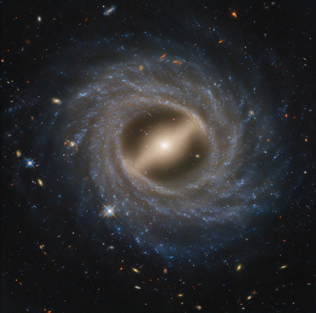 Die Balkenspiralgalaxie NGC 5335 ist bildfüllend dargestellt. In der Mitte verläuft ein markanter gelblicher Balken, außen herum sind dichte Spiralarme angeordnet, die von blauen Sternhaufen gesäumt sind.